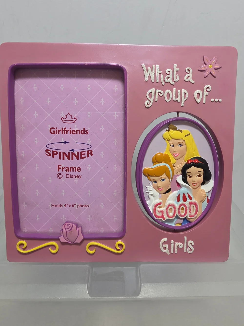 Disney Parks Princess Good Girls Bad Girls Spinner Photo Frame 4x6 (Z3)